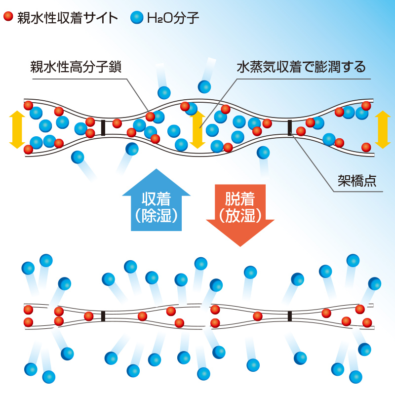 吸着と脱着の仕組みを表現したイメージ